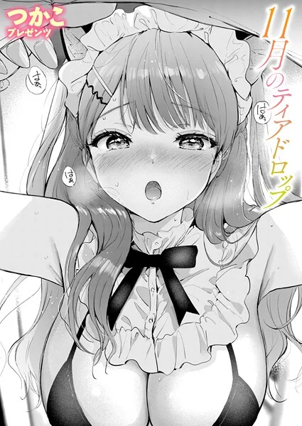11月のティアドロップ(単話)