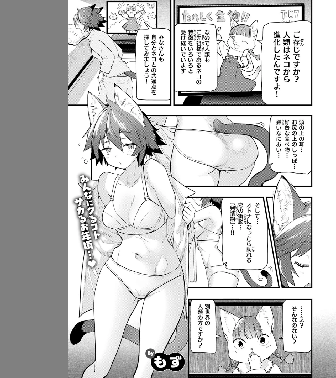 ネコの惑星（単話） 画像2